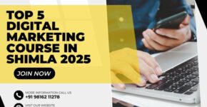 Top 5 Digital Marketing course in Shimla 2025