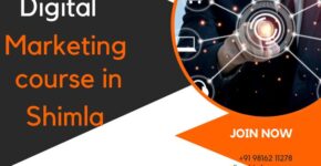 Digital marketing Course in Shimla