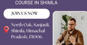 Digital Marketing Course in Shimla