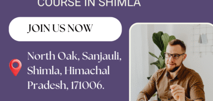 Digital Marketing Course in Shimla